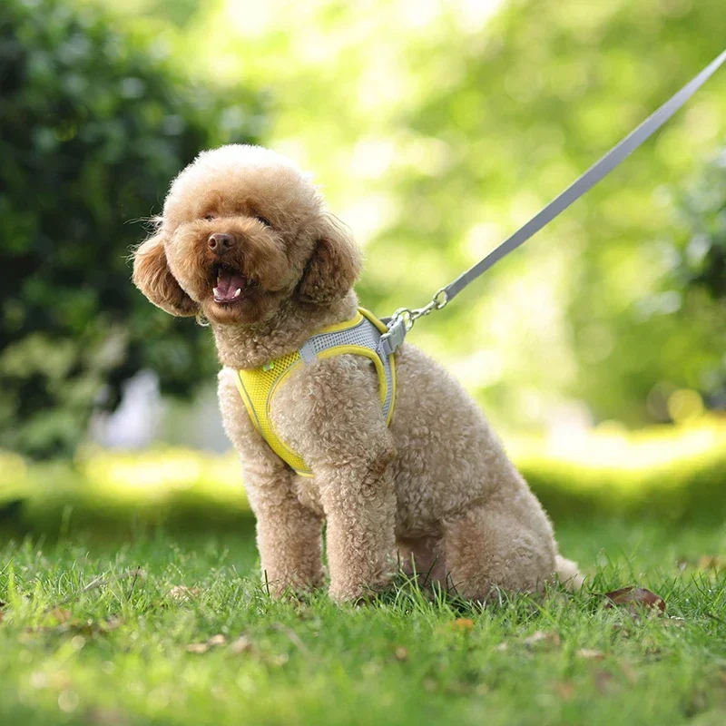 Puppy Harness Set Dog Accessories Adjustable Pet Vest Dogs French Bulldog Chihuahua Small Dog Collar Supplies Products Home - Image 5
