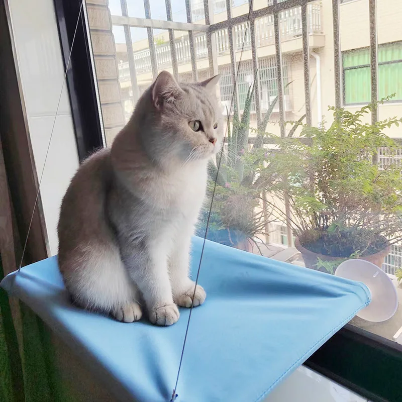 New pet cat hammock hanging cat bed bearing 20 kg comfortable sunny window seat kitten rock climbing frame pet supplies - Image 3